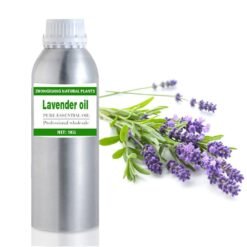 lavender essential oil