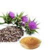 Silymarin 80% Milk Thistle Extract PAKISTAN