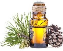 Pine Oil Pakistan Chemical