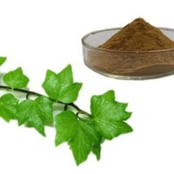 Ivy Leaf Extract Powder Pakistan Chemical