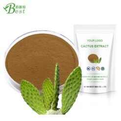 Batural hoodia cactus extract/nopal cactus plant extract PAKISTAN CHEMICAL