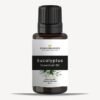 Essential Eucalyptus Oil PAKISTAN CHEMICA