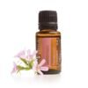Geranium Oil CAS No. 8000-46-2 PAKISTAN CHEMICAL