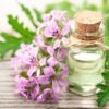 Pelargonium Oil PAKISTAN CHEMICAL